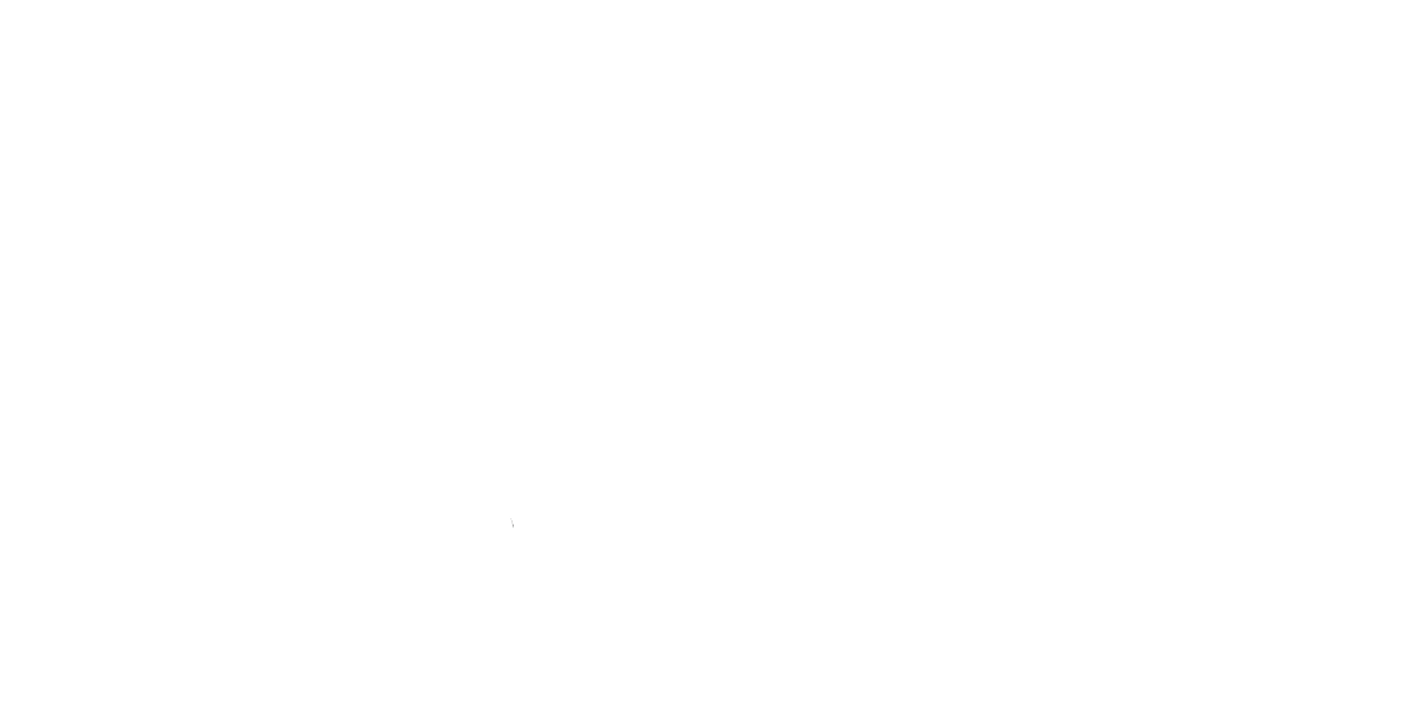 Karlsruher Institut für Technologie (KIT)